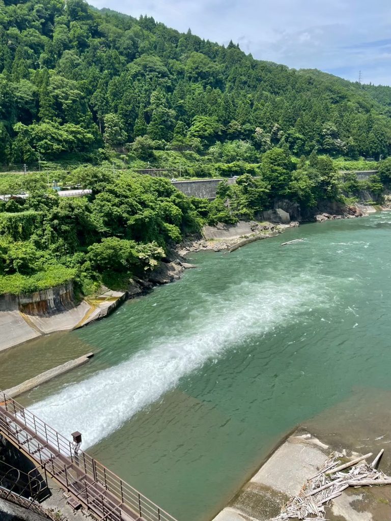 天湖森キャンプの写真 70