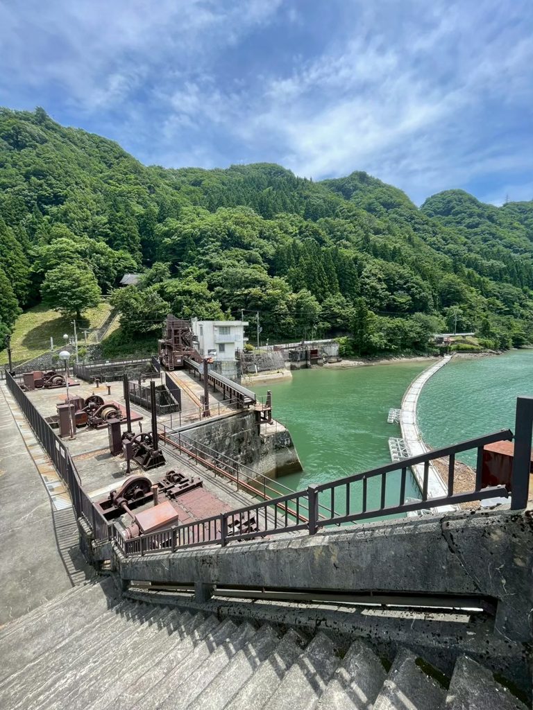 天湖森キャンプの写真 76