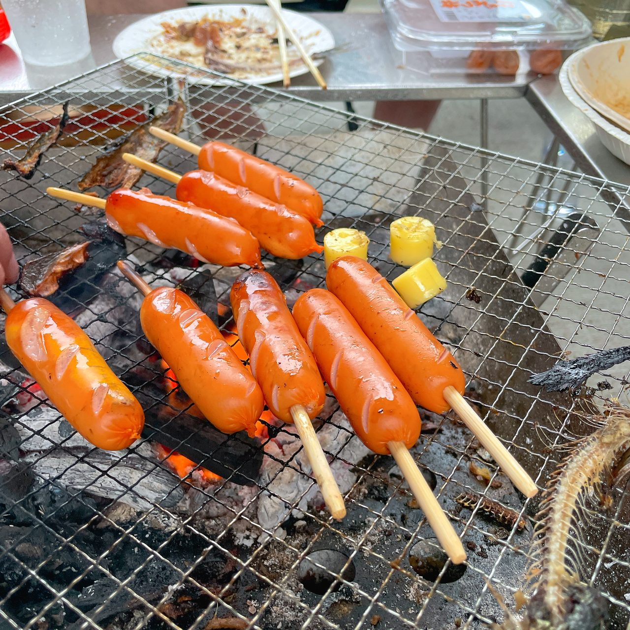 トシミツ宅の写真 10